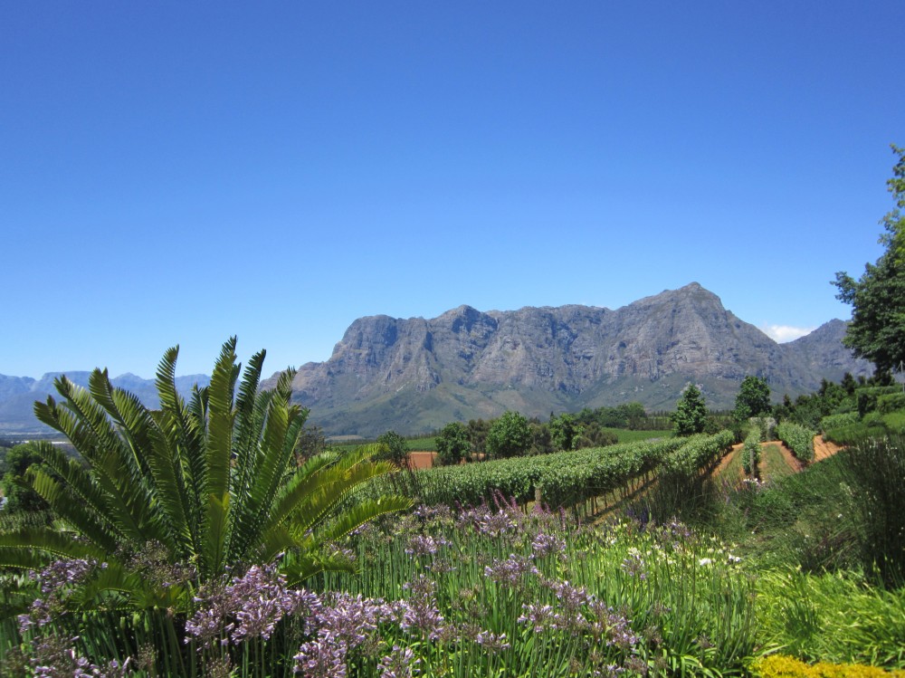 Earth Day 2014 - My Beautiful Earth