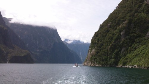 Sailing into Milford Sounds