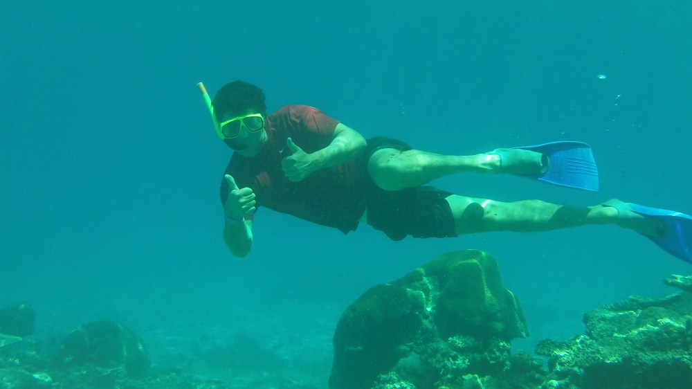 snorkelling and diving locations riviera maya mexico