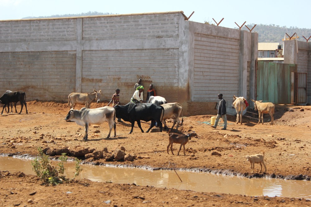 Arusha base town climb kilimanjaro
