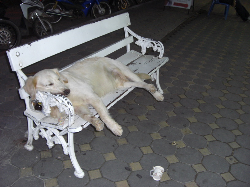 Travel the world for free