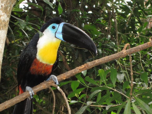 Travel Companions of a Different Kind!