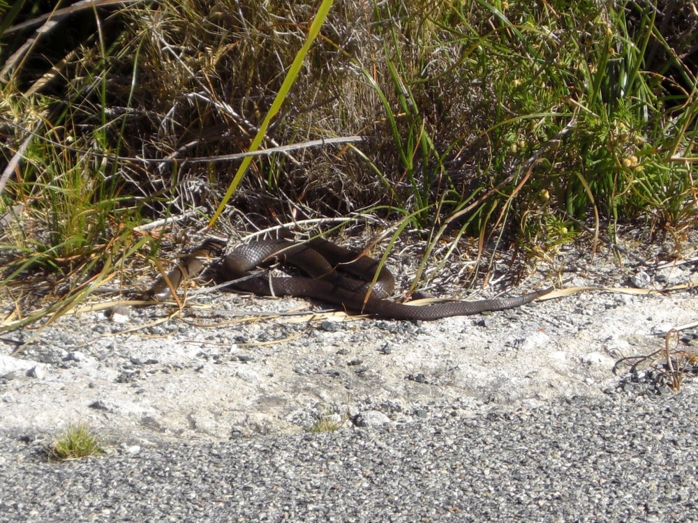 Holidays to Western Australia