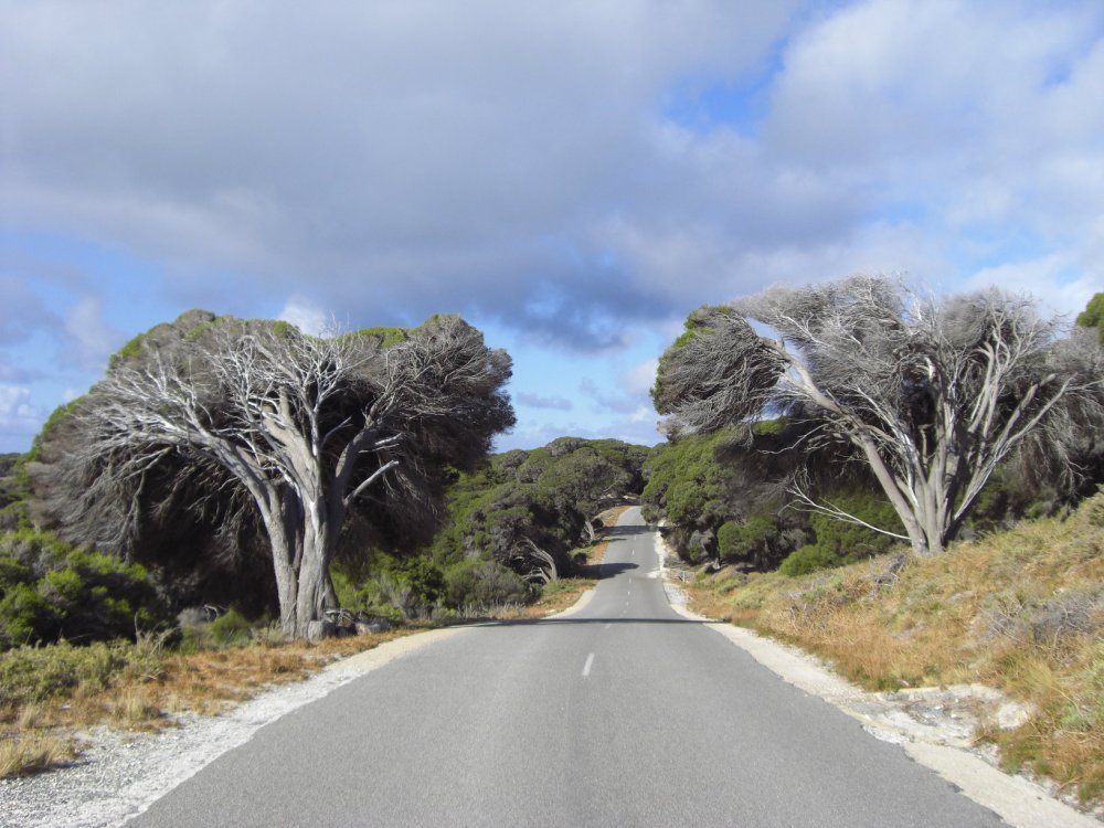 Holidays to Western Australia