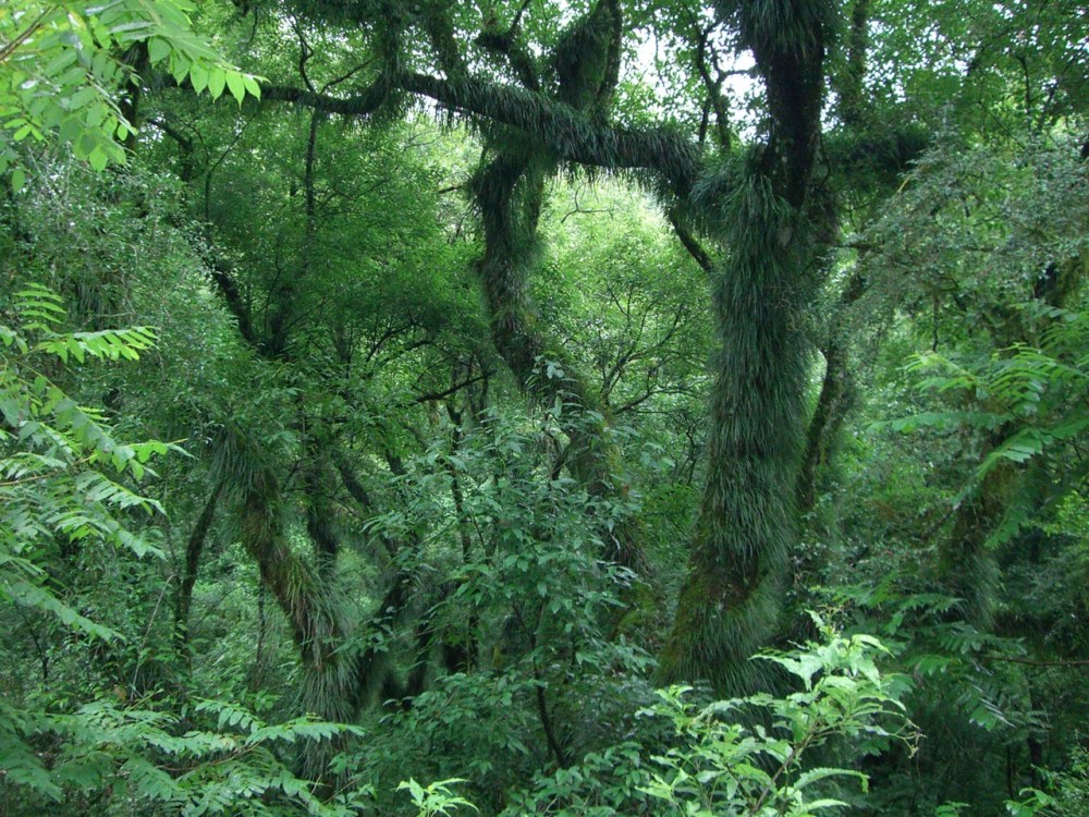 Earth Day 2014 - My Beautiful Earth