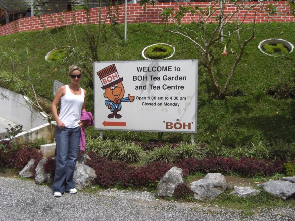 The Cameron Highlands – Anyone for a Cuppa Tea?