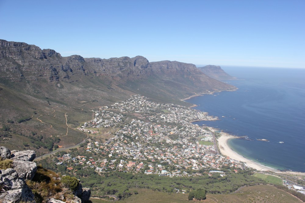 Walking with Lions in Cape Town