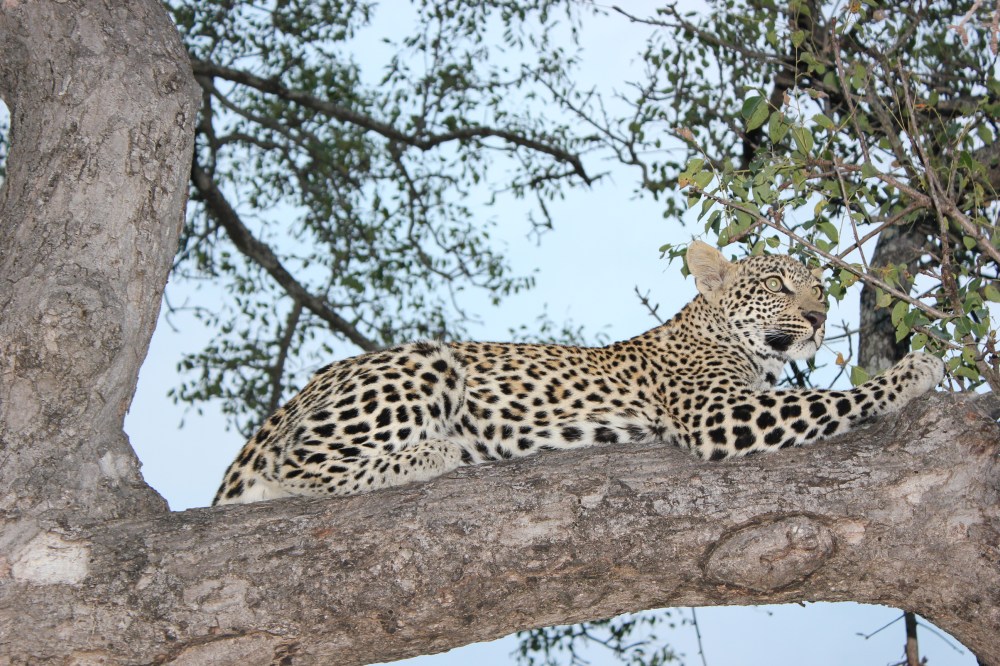 Tailor Made Holidays Africa