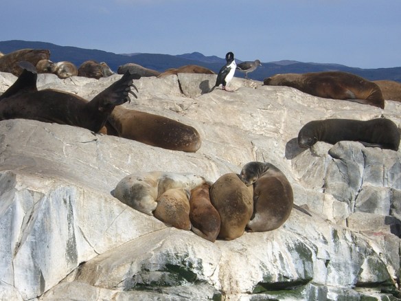 A-Z of Travel – O is for One Way Flight to… P is for Patagonia 