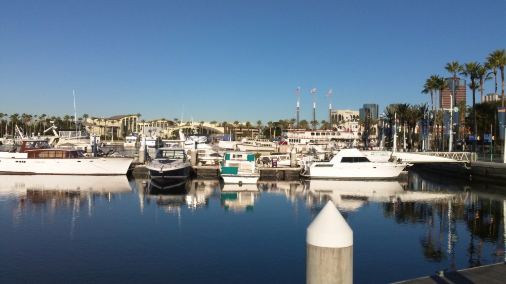 Going Loco Down in…Cabo San Lucas!