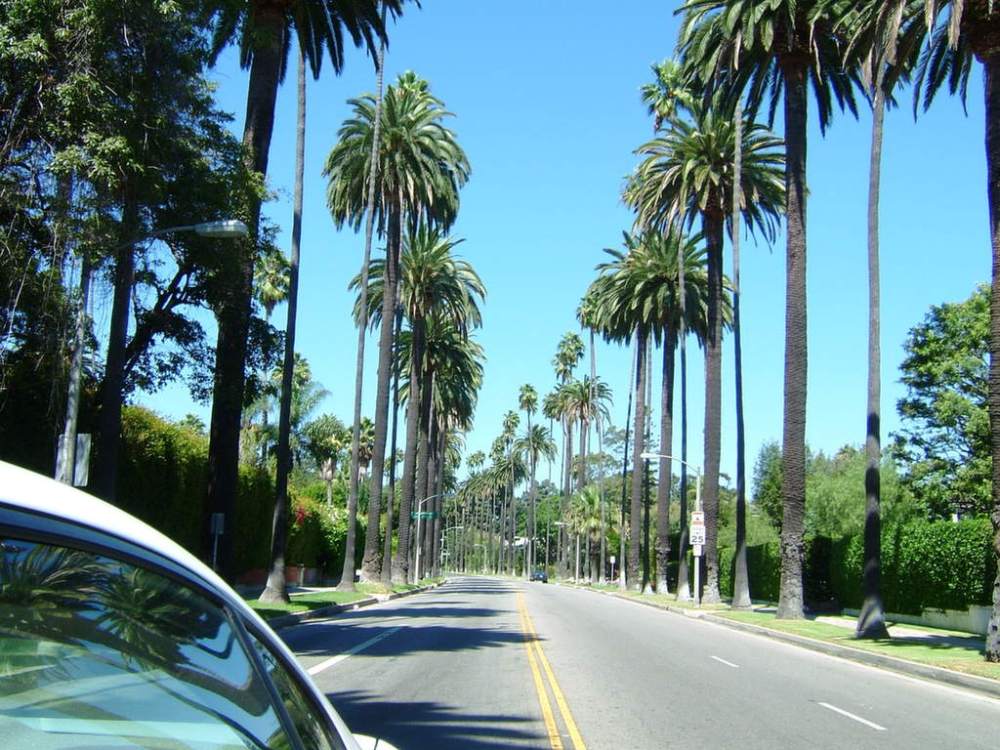 Independence Day Celebrations