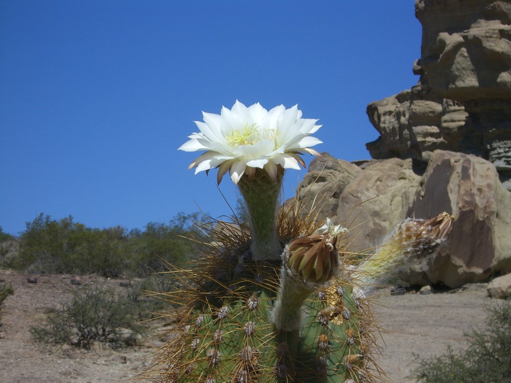 Small Group Escorted Tours and Self Drive Holidays Argentina