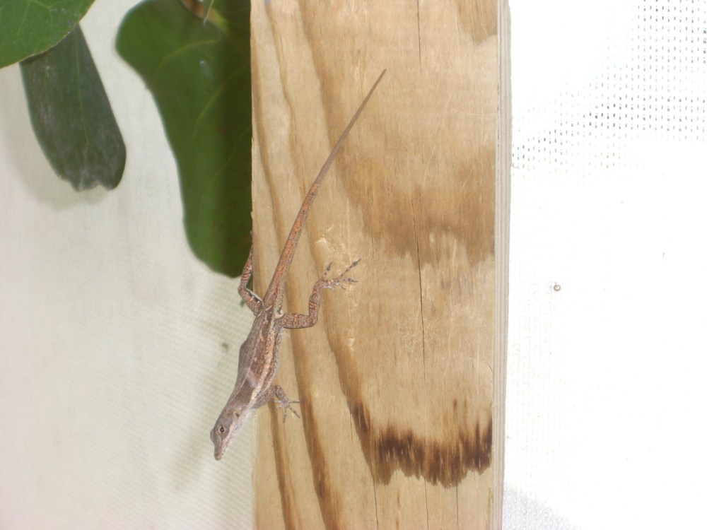 sxm_ed_and_wendy_157