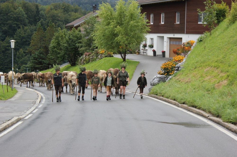 The Hills are Alive with the Sound of… Cow Bells!