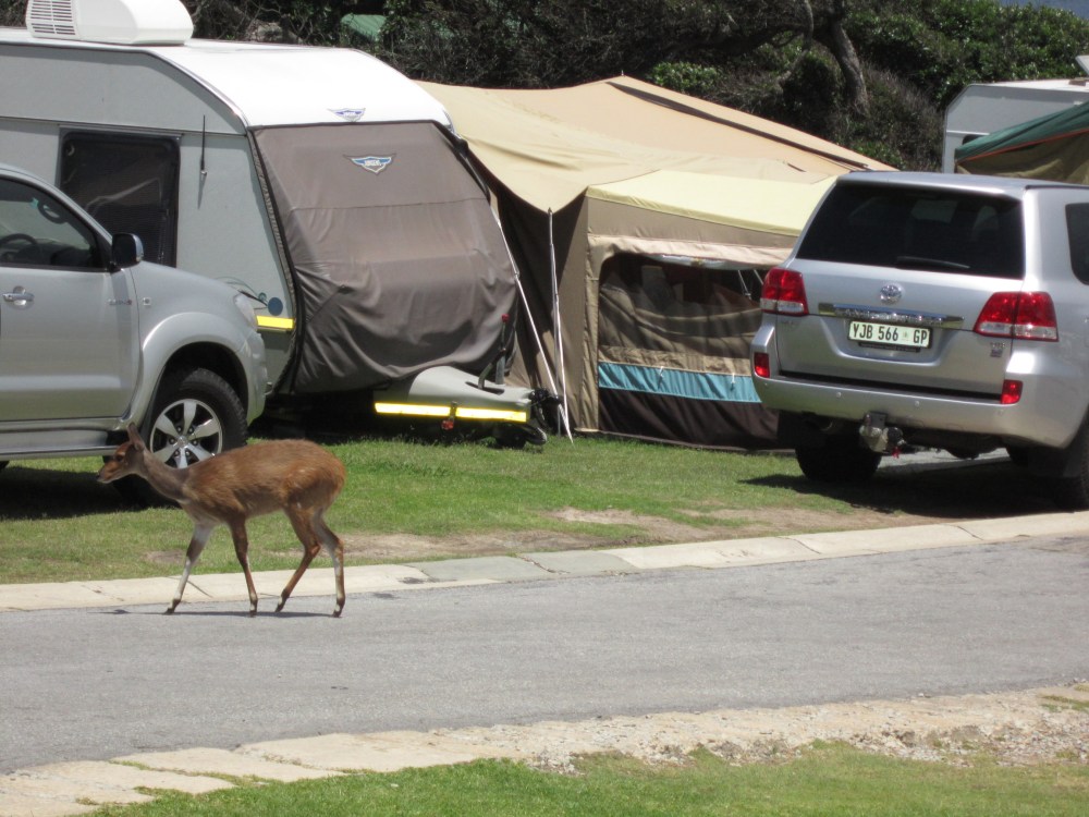 Self Drive Tours Garden Route South Africa