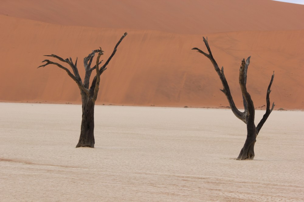 safari holidays namibia