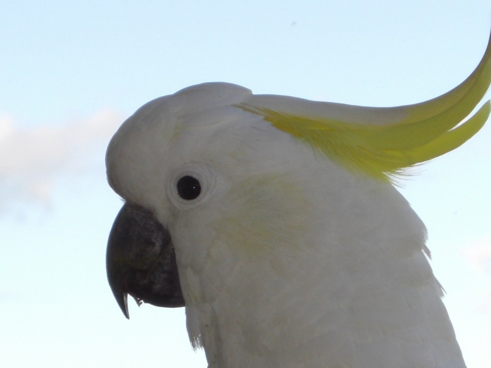 Tailor made self drive holidays Australia