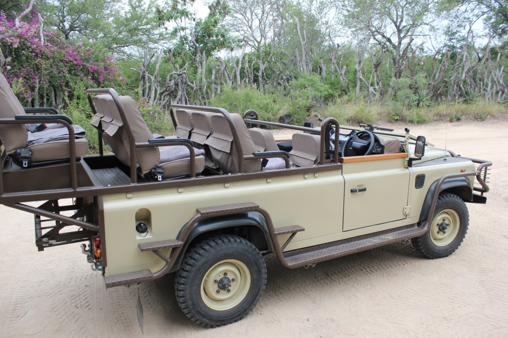 Cape Argus and Safari Holidays South Africa