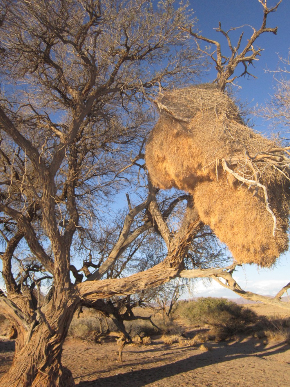 Self Drive Holidays Namibia