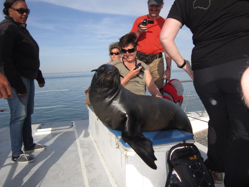 Self Drive Holidays Namibia