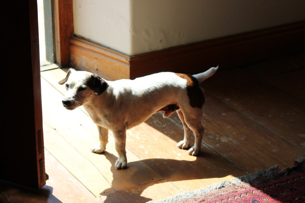 Wine Tasting, Weddings & Wonderful Scenery – It’s all happening at Webersburg