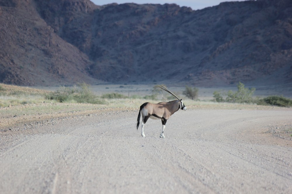 Tailor Made Travel Namibia