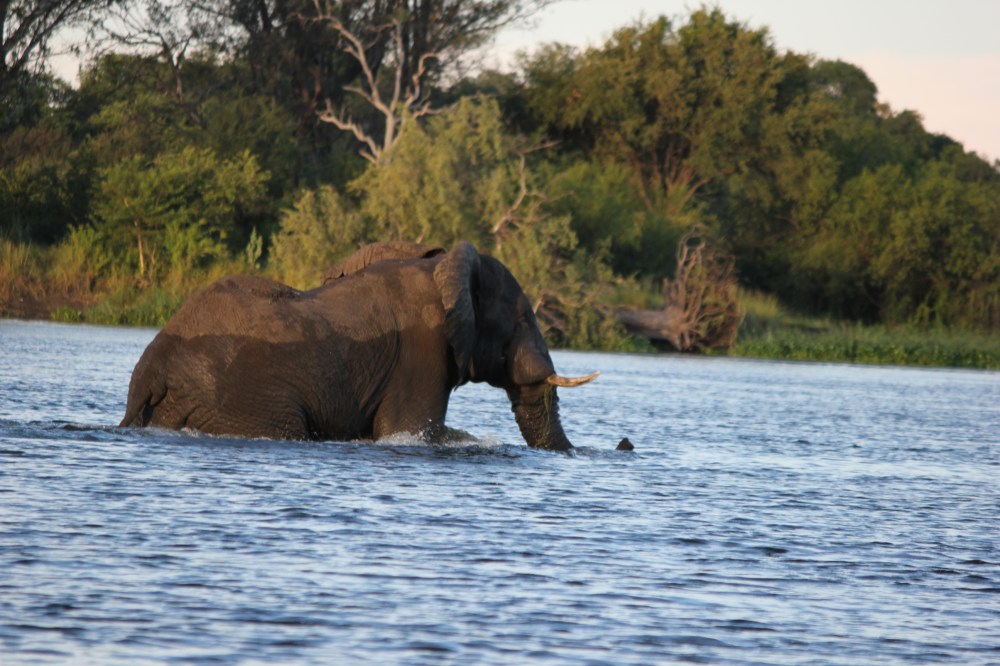 Tailor Made Holidays Victoria Falls Zambia and Zimbabwe