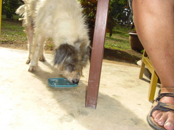 Somewhere in Thailand