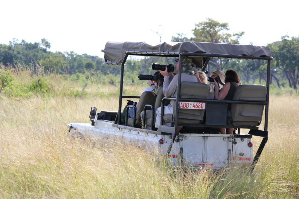 African Safari Holidays