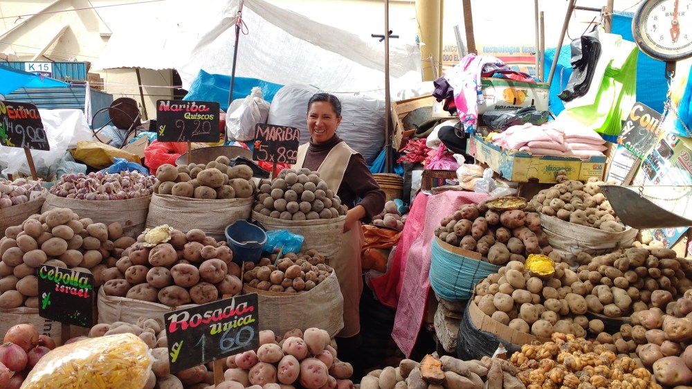 The Best of Arequipa: What to do in Peru’s White City