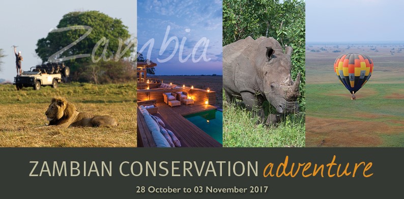 Zambia Conservation Adventure Safari