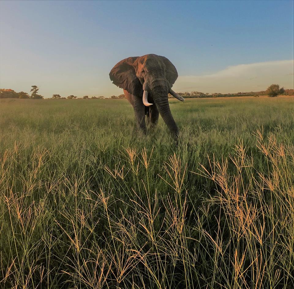 Zimbabwe Travel with Equatours