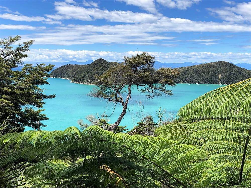 New zealand sexiest accent in the world