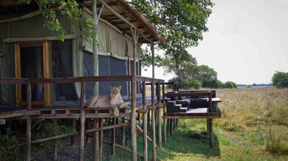 Sumba Camp Wilderness Safaris
